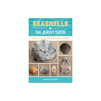 Schiffer Publishing Ltd Seashells of the Jersey Shore (häftad, eng)