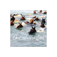 Schiffer Publishing Ltd Out of the Sea (häftad, eng)
