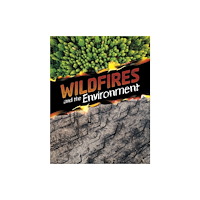 Capstone Global Library Ltd Wildfires and the Environment (inbunden, eng)