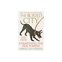 Hodder & Stoughton The Buried City (inbunden, eng)