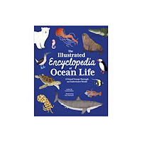 Arcturus publishing ltd The Illustrated Encyclopedia of Ocean Life (inbunden, eng)