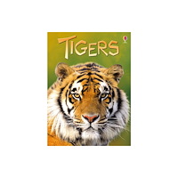 Usborne Publishing Ltd Tigers (inbunden, eng)