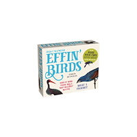 Andrews McMeel Publishing Effin' Birds 2026 Day-to-Day Calendar