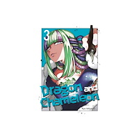 Square Enix Dragon and Chameleon 03 (häftad, eng)