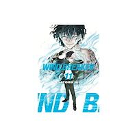 Kodansha America, Inc WIND BREAKER 11 (häftad, eng)