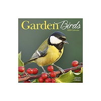 Avonside Publishing Ltd Garden Birds Calendar 2020 (häftad, eng)