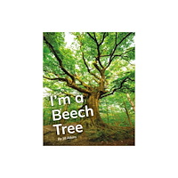 Ransom Publishing I'm a Beech Tree (häftad, eng)
