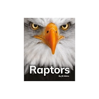 Ransom Publishing Raptors (häftad, eng)