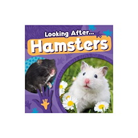 BookLife Publishing Hamsters (häftad, eng)