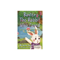 Troubador Publishing Baxter: The Rabbit Who Cared (häftad, eng)
