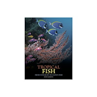 Amber Books Ltd Tropical Fish (inbunden, eng)