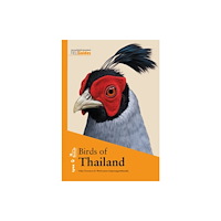 Alada Books, S.L. Birds of Thailand (häftad, eng)