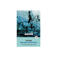 Double 9 Books The Pony Rider Boys in New Mexico; Or, The End of the Silver Trail (häftad, eng)