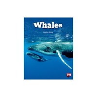SCHOLASTIC LTD Whales Level 24 X6 (häftad, eng)