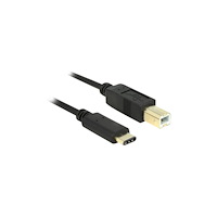DeLOCK Delock - USB typ C-kabel - USB-C till USB typ B - 2 m