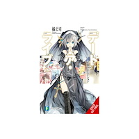 Little, Brown & Company Date A Live, Vol. 13 (light novel) (häftad, eng)