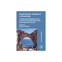 Archaeopress Publishing Ltd South-Eastern Anatolia at a Crossroads (häftad, eng)