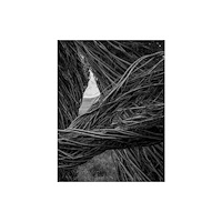 Radius Books Patrick Dougherty | James Florio: Sticks (inbunden, eng)
