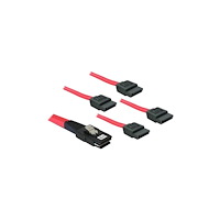 DeLOCK Delock SATA/SAS-kabel - 1 m