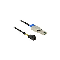 DeLOCK Delock SAS-kabel intern till extern - 1 m