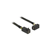 DeLOCK Delock intern SAS-kabel - 50 cm