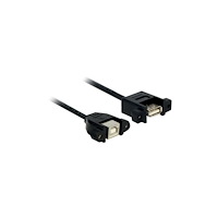 DeLOCK Delock - USB-adapter - USB till USB typ B - 25 cm