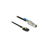 DeLOCK Delock SAS-kabel intern till extern - 1 m