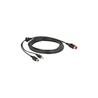 DeLOCK Delock - USB-kabel med egen strömförsörjning - 3 m