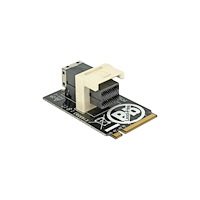 DeLOCK Delock Adapter M.2 Key M > SFF-8643 NVMe horizontal 2242 - gränssnittsadapter - U.2 NVMe - M.2 Card
