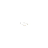DeLOCK Delock - DisplayPort-kabel - DisplayPort till DisplayPort - 50 cm