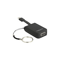 DeLOCK Delock - extern videoadapter - RTD2169U - svart