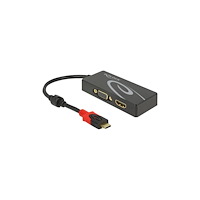 DeLOCK Delock - extern videoadapter