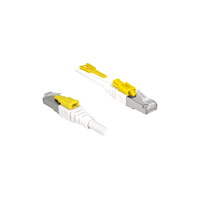 DeLOCK Delock Secure - patch-kabel - 2 m - vit