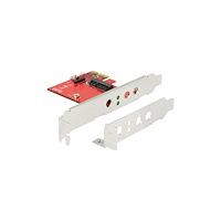 DeLOCK Delock - kontrollerkort - M.2 Card - PCIe x1, USB 2.0