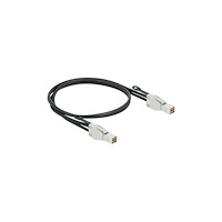 DeLOCK Delock extern SAS-kabel - 2 m