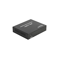 DeLOCK Delock Media Converter 10GBase-R SFP+ to SFP+ - medieomvandlare - 10GbE
