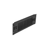 DeLOCK Delock panel med rektangulär kabelgenomgång - 2U - 10"