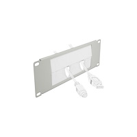 DeLOCK Delock kabelhanteringspanel med borste för rack - 2U - 10"