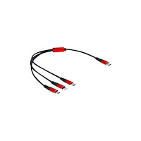 DeLOCK Delock 3 in 1 dedikerad laddningskabel - Lightning / USB 2.0 - 30 cm