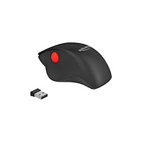 DeLOCK Delock Ergonomic - mus - 2.4 GHz - svart, röd