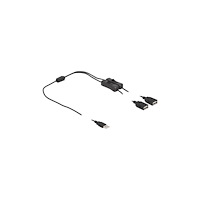 DeLOCK Delock - strömdelare - USB till USB - 1 m