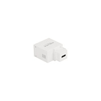 DeLOCK Delock strömadapter - 24 pin USB-C - 10.5 Watt