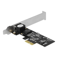 DeLOCK Delock - nätverksadapter - PCIe 2.1 - 2.5GBase-T