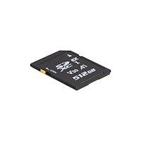 DeLOCK Delock - flash-minneskort - 512 GB - SD