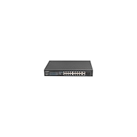 LANBERG Lanberg RSFE-16P-2C-250 - switch - 16 portar - ohanterad - rackmonterbar