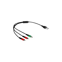 DeLOCK Delock 3 in 1 dedikerad laddningskabel - 30 cm