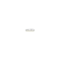 Kingston Technology Kingston FURY Beast - DDR5 - modul - 32 GB - DIMM 288-pin / PC5-44800 - ej buffrad