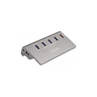DeLOCK Delock - hubb - 10 Gbps, + 1 Fast Charging Port incl. Power Supply - 4 portar