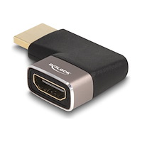 DeLOCK Delock HDMI-adapter med Ethernet
