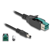 DeLOCK Delock - USB-kabel med egen strömförsörjning - USB PlusPower (12 V) till Växelströmsjack 5,5 x 2,5 mm - 3 m